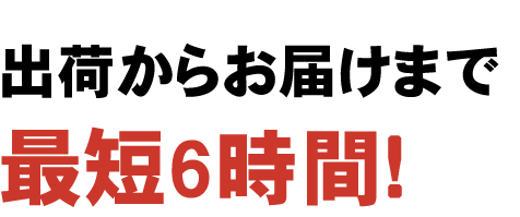 出荷からお届けまで